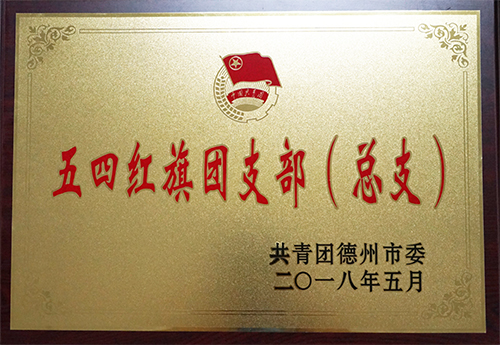 hth·华体会（中国）官方网站-hth.com
荣获“德州市五四红旗团支部”荣誉称号